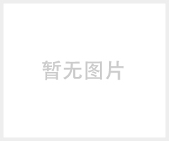 日本ITOKOKI伊藤AC-15 AM-150不锈钢氨气调压器 GM-16A-H氨气调压器